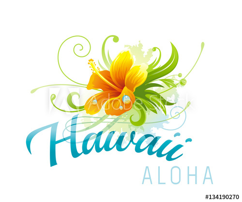 Hawaii Islands Vector at GetDrawings | Free download