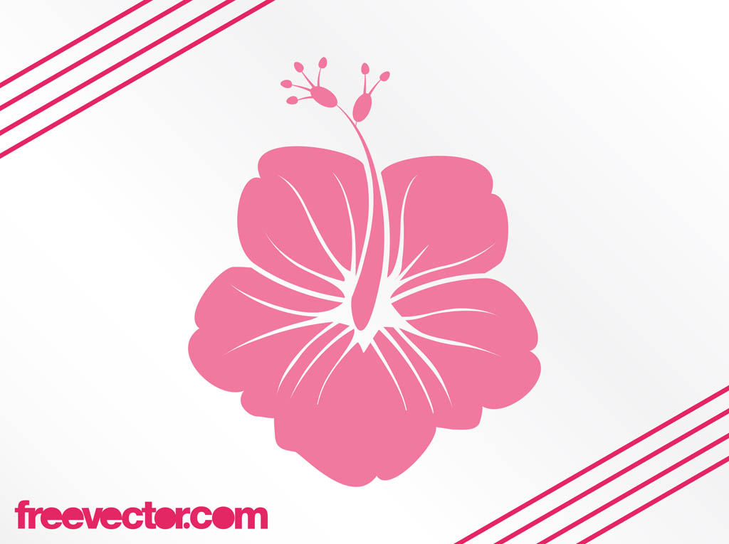1024x765 Hawaiian Flower Silhouette Vector Art Amp Graphics