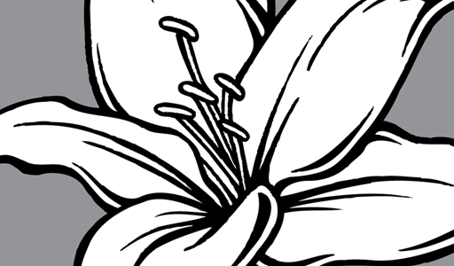 512x300 Flower Vector Genius