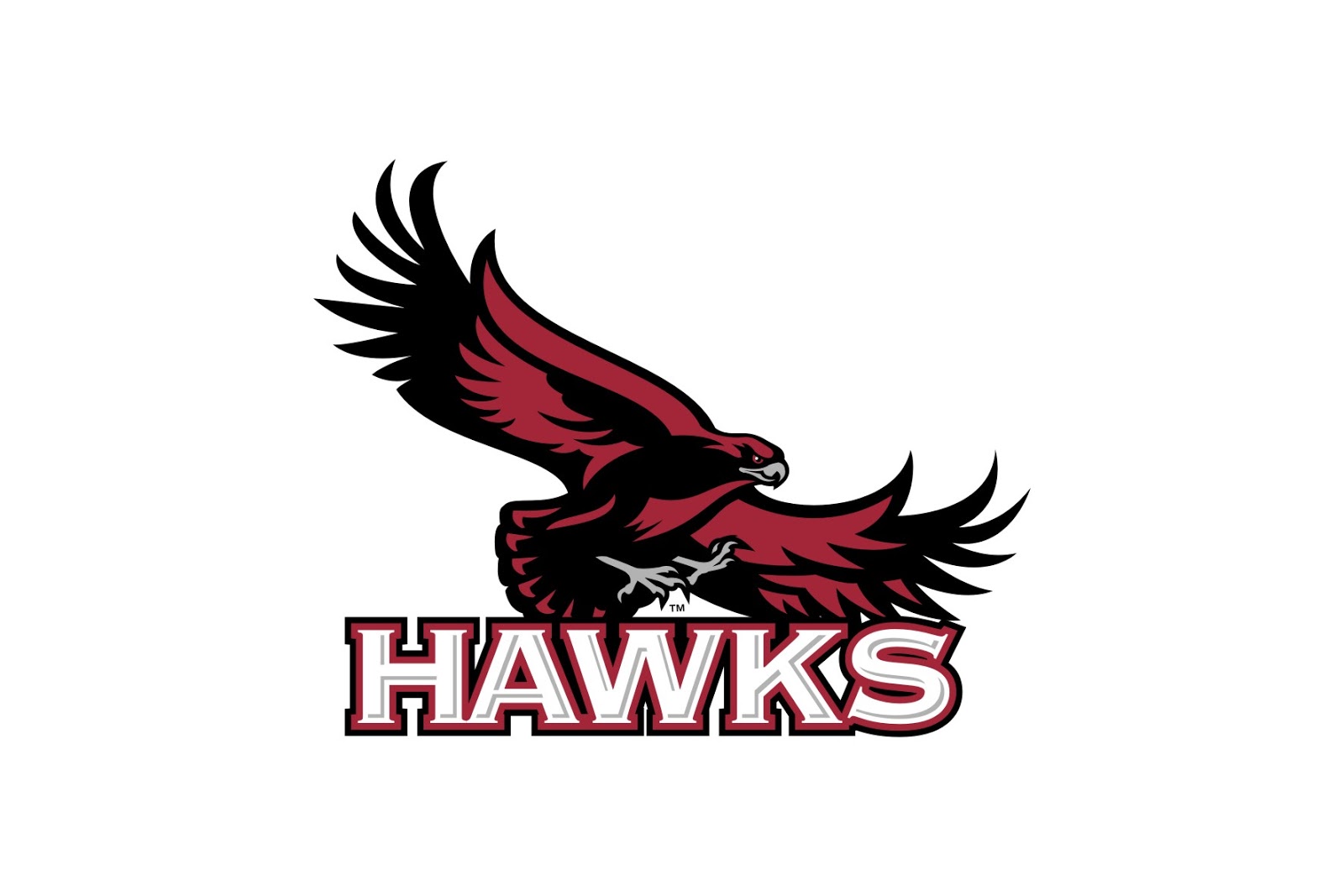 1600x1067 Saint Josephs Hawks Logo