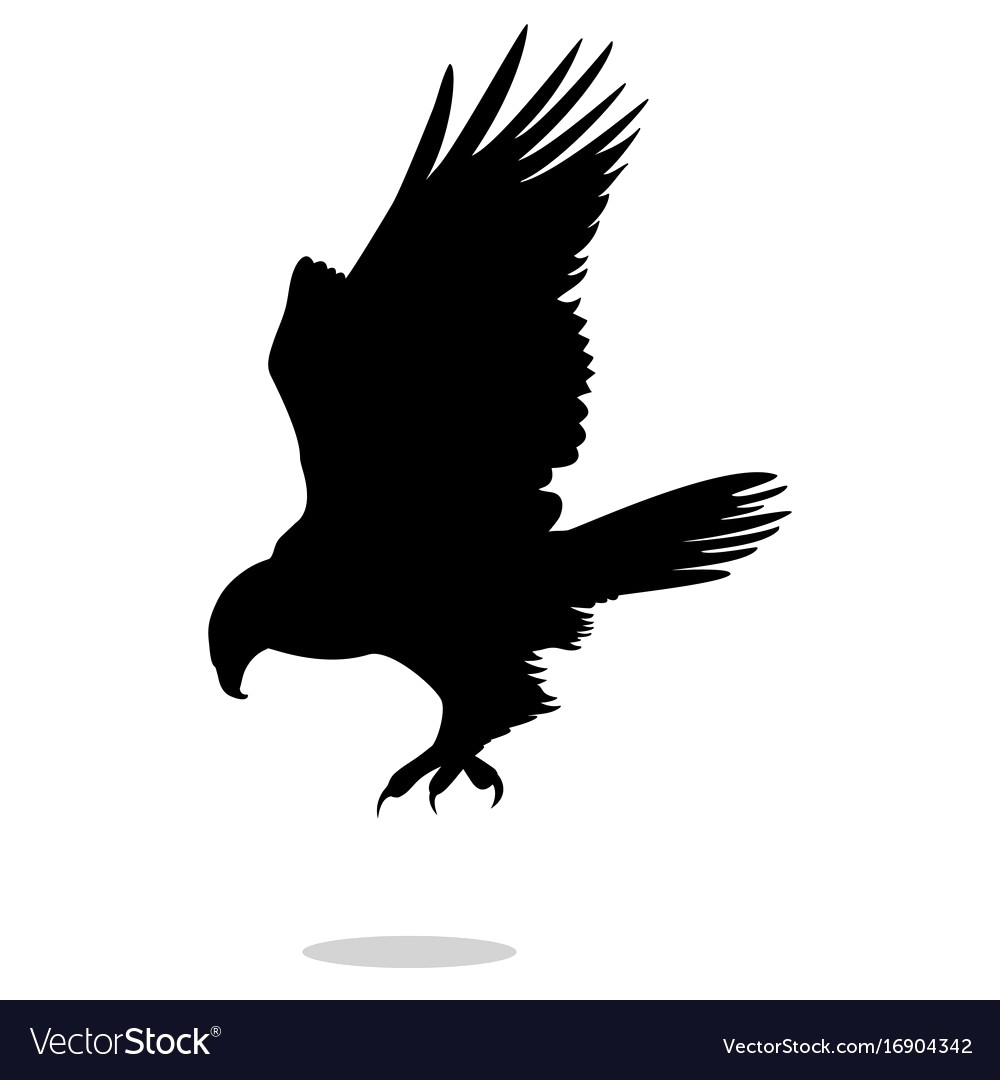 1000x1080 Hawk Eagle Falcon Bird Black Silhouette Animal Vector 16904342 19