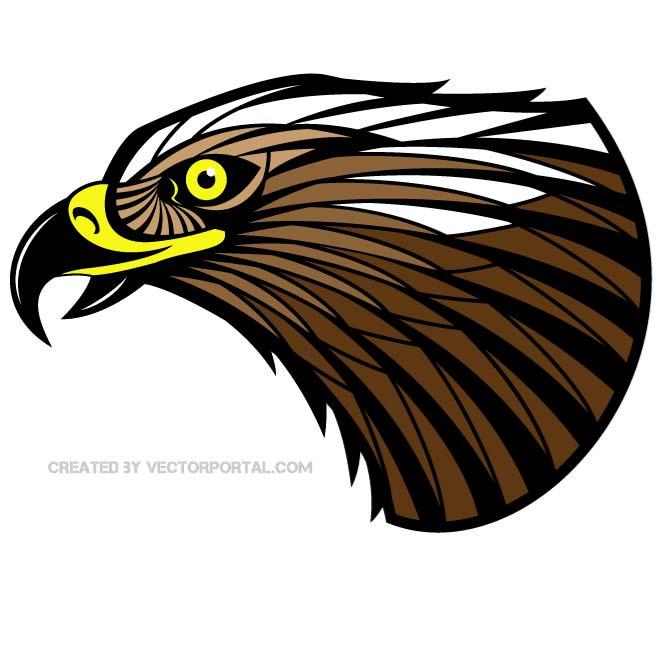 660x660 Hawk Vector Color Image By Vectorportal