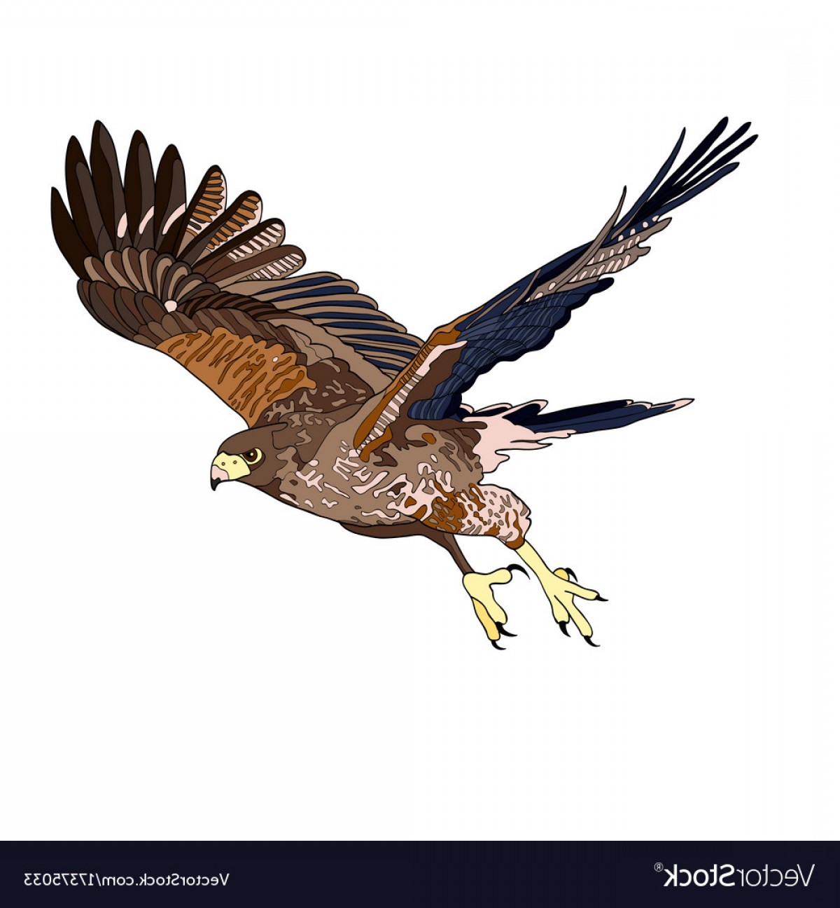 1200x1296 An Image Of A Flying Hawk Vector Sohadacouri