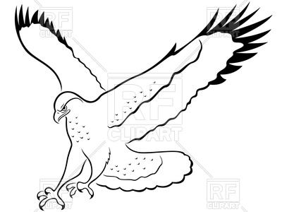 400x300 Hawk With Wide Wings