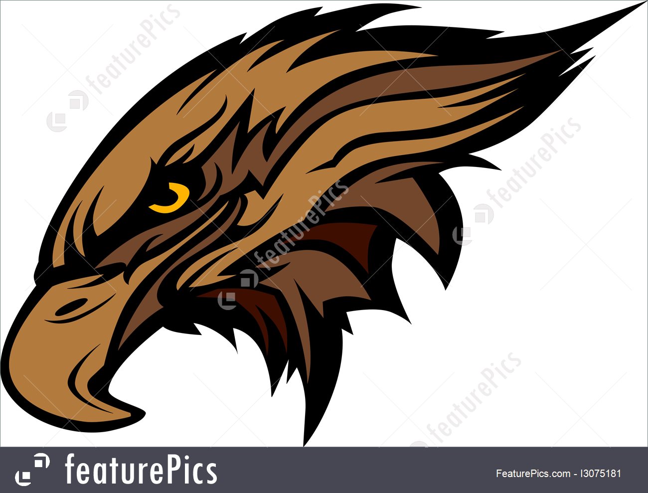 1300x989 Mascot Head Of An Falcon Or Hawk Vector