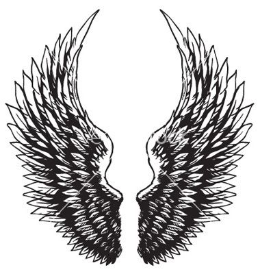 380x400 Drawn Hawk Vector