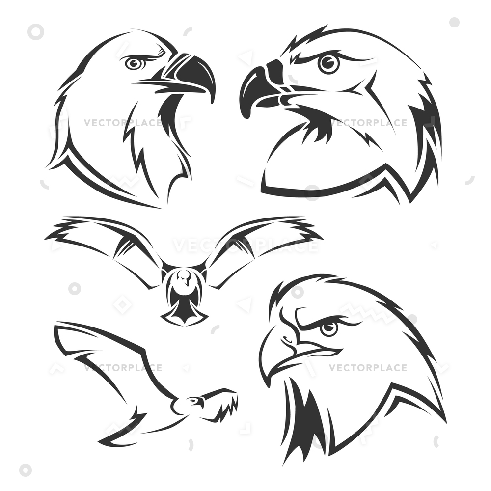 1000x1000 Eagle Hawk Mascots Set Tattoo Head Vector Illustration 30612