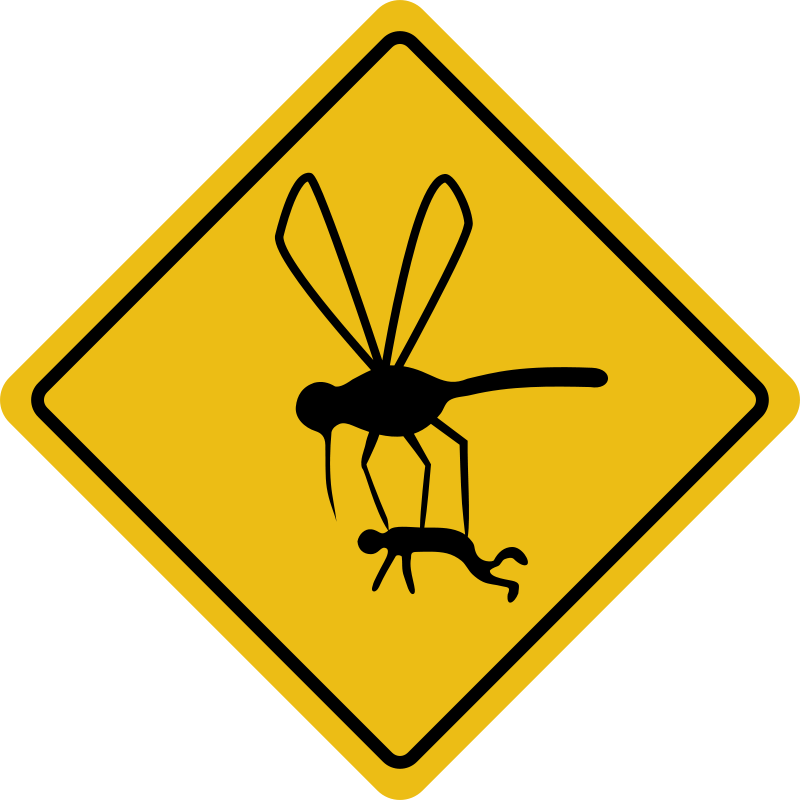 800x800 Mosquito Hazard Free Vector 4vector