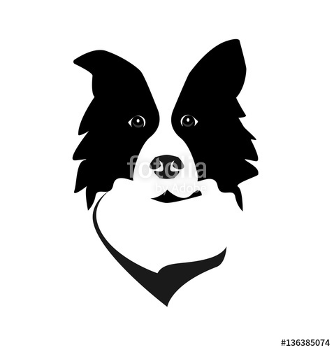 478x500 Border Collie Head Logo Icon Vector. Dog Face Simple Design