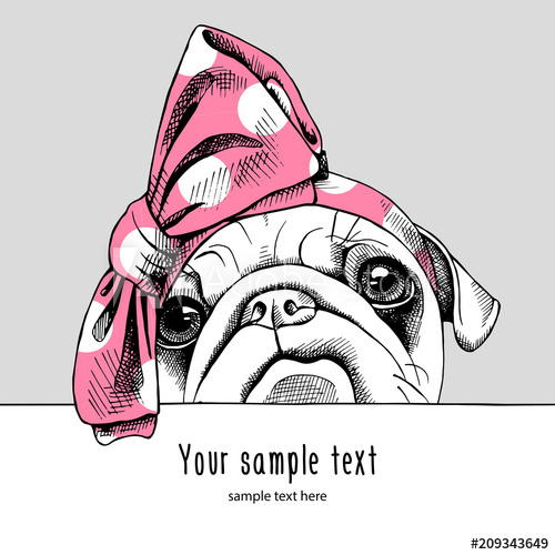 500x500 Portrait Of A Pug In The Pink Headband. Vector Illustration.