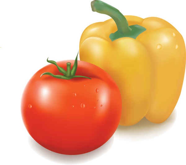 600x533 Healthy Food Vector Free Vector 4vector