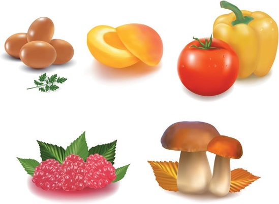 549x401 Healthy Food Vector Free Vector In Encapsulated Postscript Eps