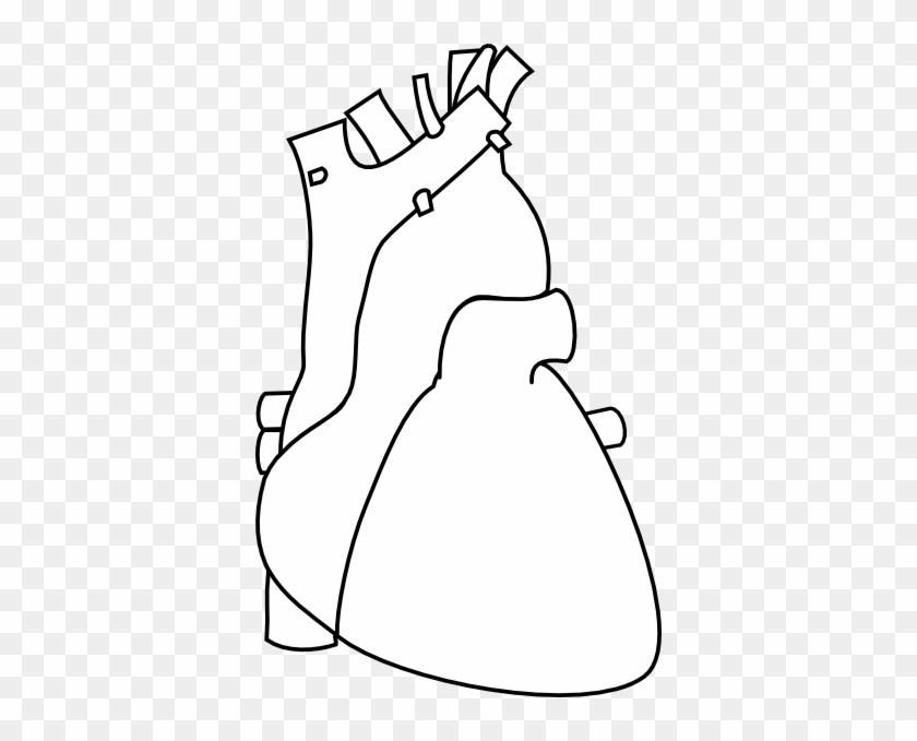 840x679 Vector Heart Outline Png White Pictures