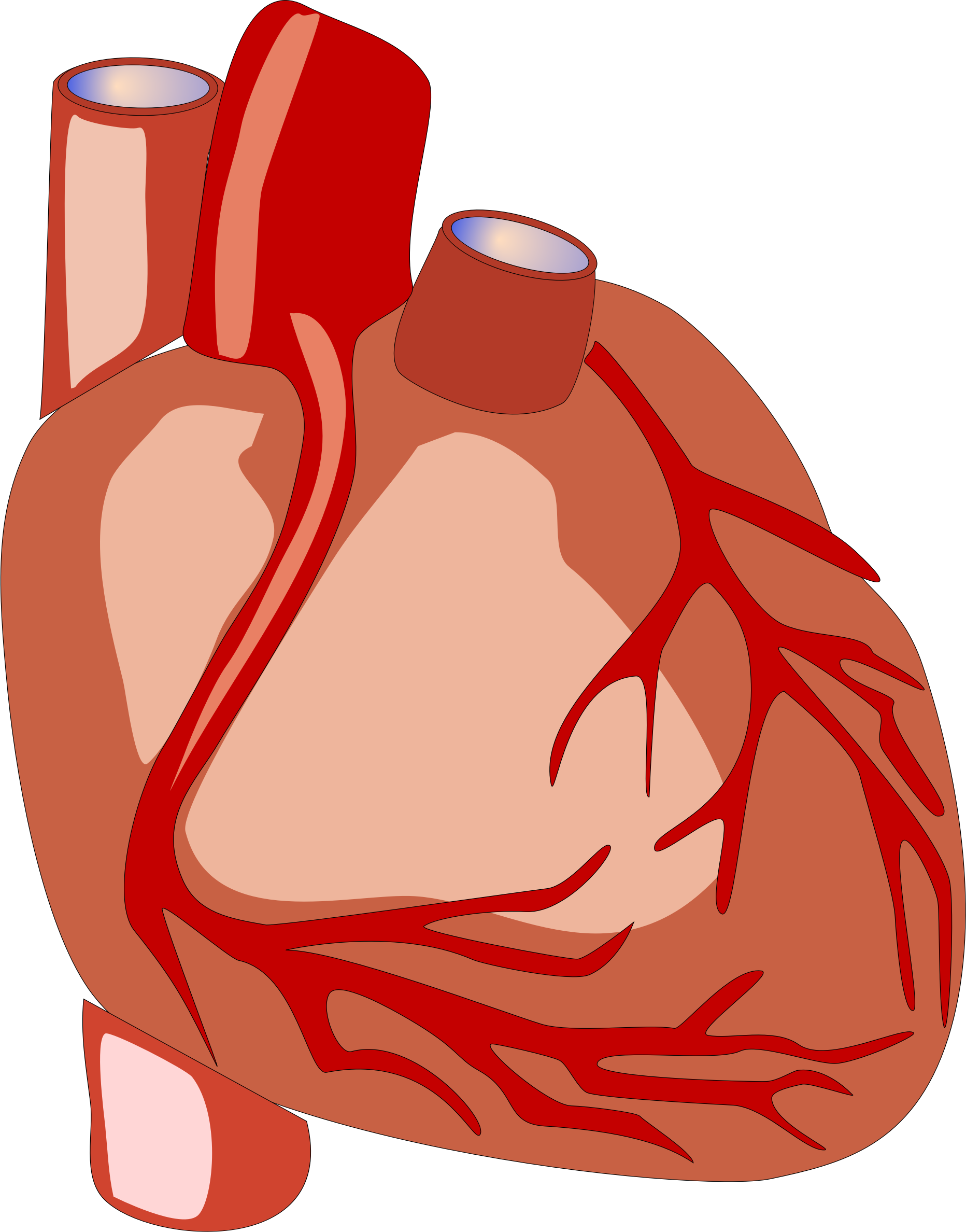 1864x2376 Human Heart Vector File Image