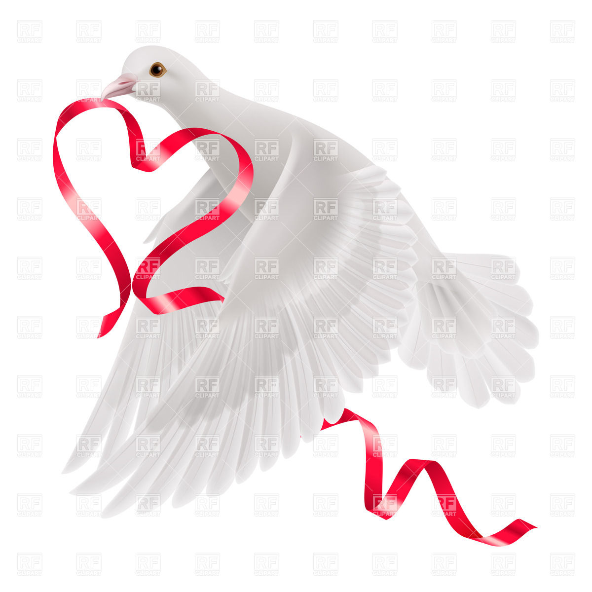 1200x1200 Dove With Red Heart Shaped Ribbon Vector Image Vector Artwork Of
