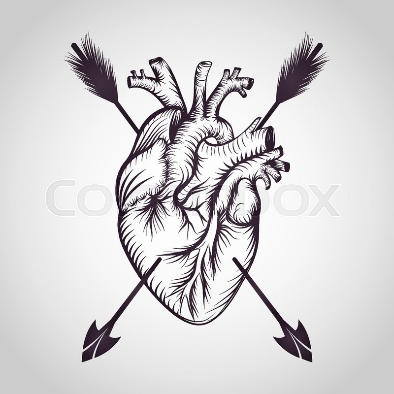 800x800 Heart Tattoo Logo Vector Stock Vector Colourbox