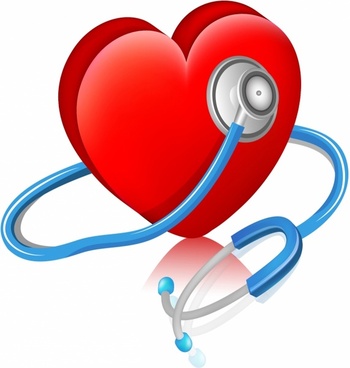350x368 Human Heart Vector Free Vector Download (6,702 Free Vector) For