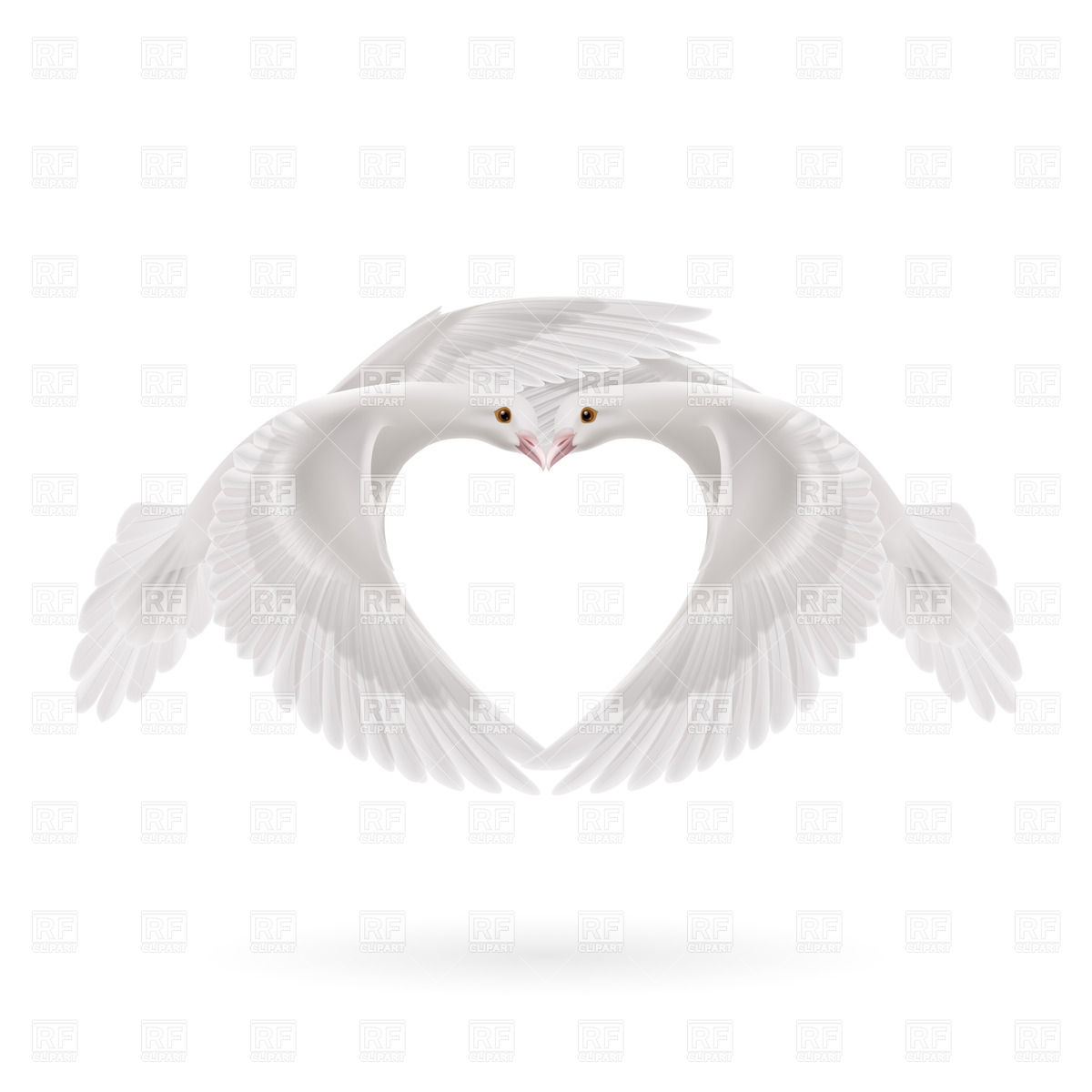 1200x1200 White Doves Makes The Shape Of The Heart Of Wings Vector Image