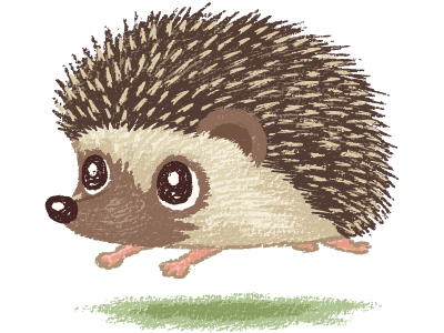 400x300 Hedgehog Running By Toru Sanogawa