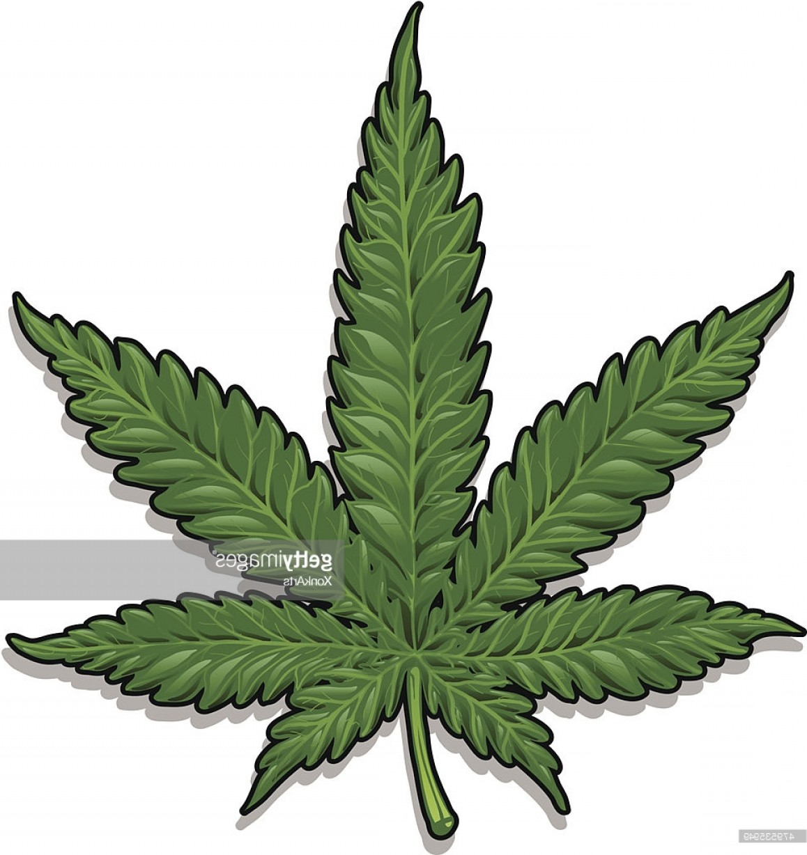 1158x1228 Trippy Pot Leaf Vector Arenawp