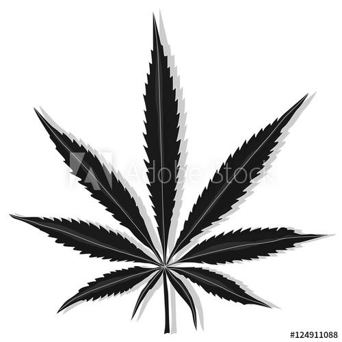 500x500 Cannabis Leaf Vector Isolated