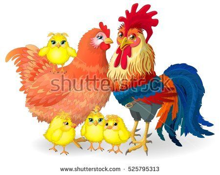 450x359 Cock Family