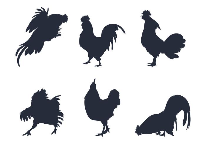 700x490 Hen Free Vector Art