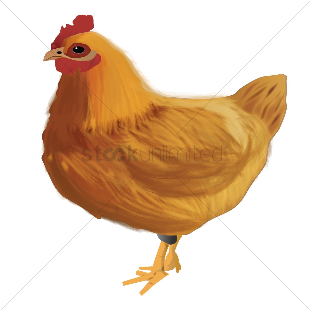 1300x1300 Hen Vector Image