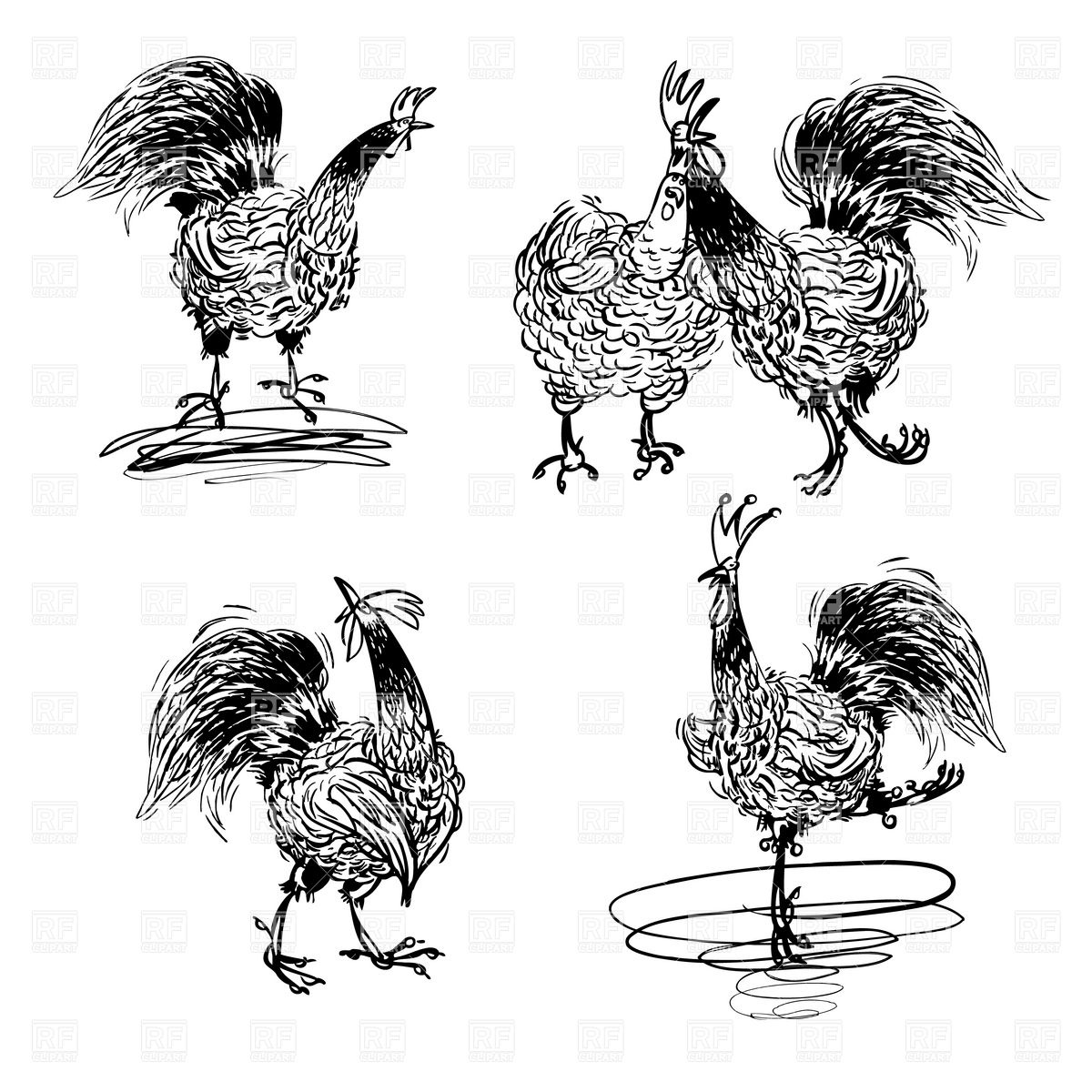 1200x1200 Sketchy Black And White Roosters And A Hen Vector Image Vector