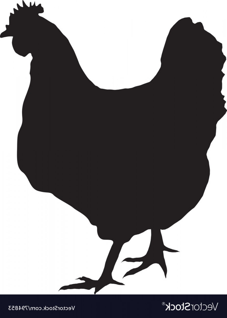 926x1296 Black Silhouette Of Hen Vector Geekchicpro