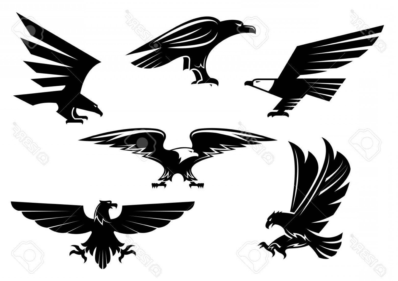 1560x1102 Photostock Vector Bird Icons Set Vector Heraldic Eagle Or Hawk