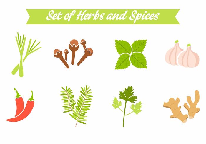 700x490 Spices And Herbs Vector