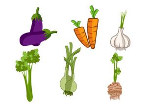 310x217 Free Herbs Vector Free Vectors Ui Download