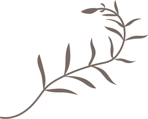 500x400 Hand Drawn Herb Vector Illustration 02 Free Download