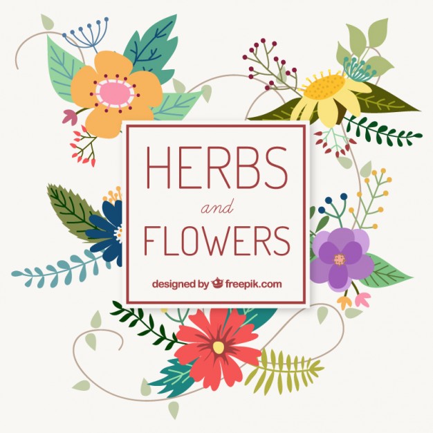 626x626 Herb And Flower Collection Vector Free Download
