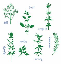 236x248 86 Best Wedding Stationary Images Watercolor