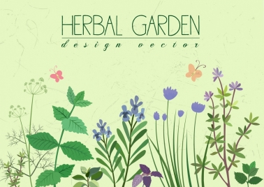 378x268 Herbs Vectors Stock For Free Download About (52) Vectors Stock In