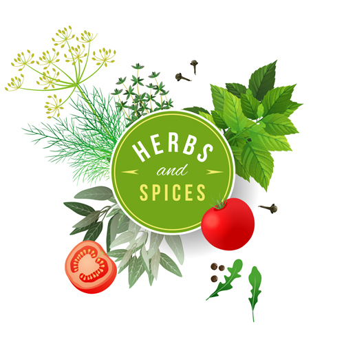 500x500 Refreshing Herbs And Spices Vector Background 01 Free Download