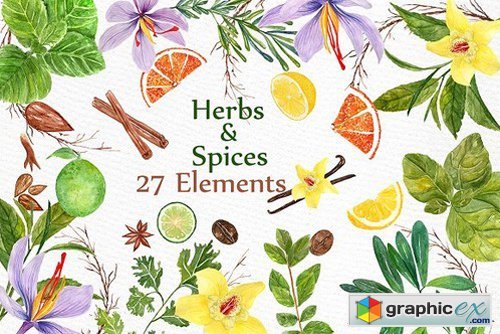 500x334 Watercolor Herbs And Spices Clipart Free Download Vector Stock