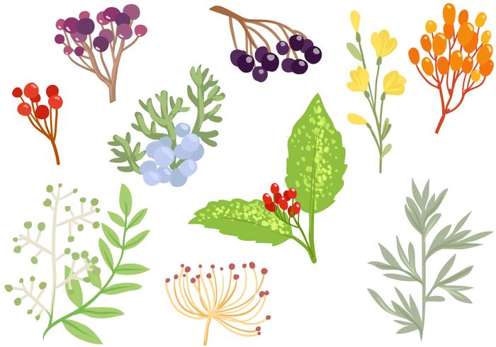 700x490 Download Vector