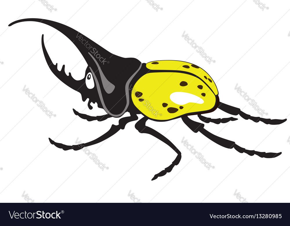 1000x780 Cartoon Giant Hercules Or Rhinoceros Beetle Male. Vector Isolated