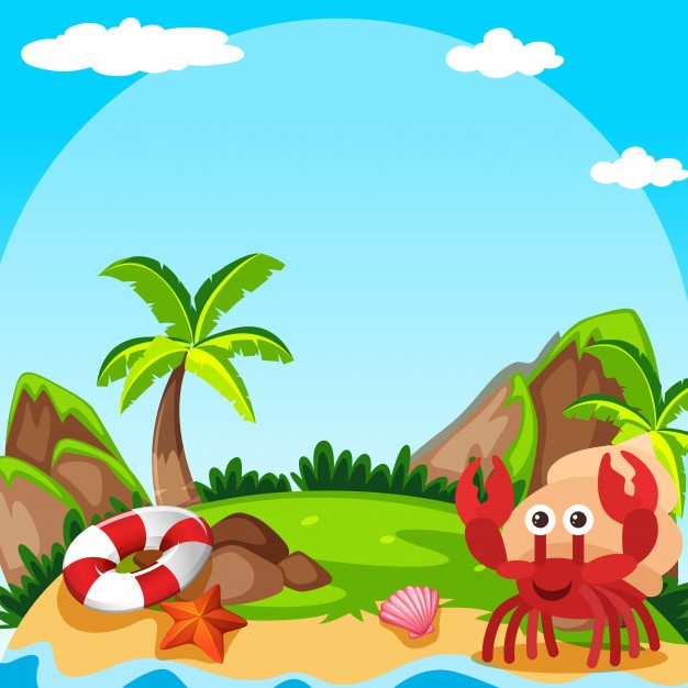 626x626 Hermit Crab Vectors, Photos And Psd Files Free Download