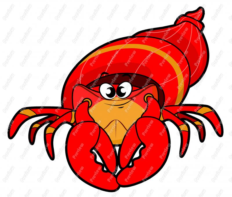800x681 Hermit Crab Clipart Cartoon