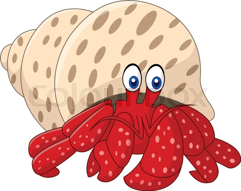 800x633 Illustration Of Cartoon Hermit Crab Stock Vector Colourbox