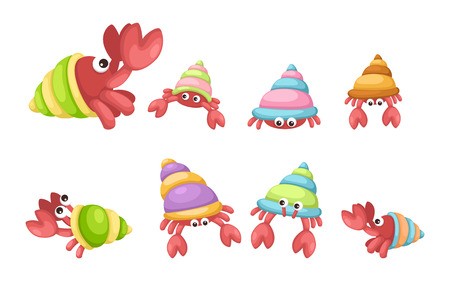 450x281 Ready Made Deisgns For Hermit Crab
