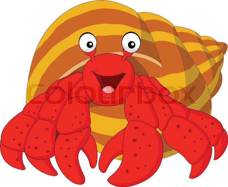 799x657 Vector Illustration Of Cartoon Hermit Crab Stock Vector Colourbox