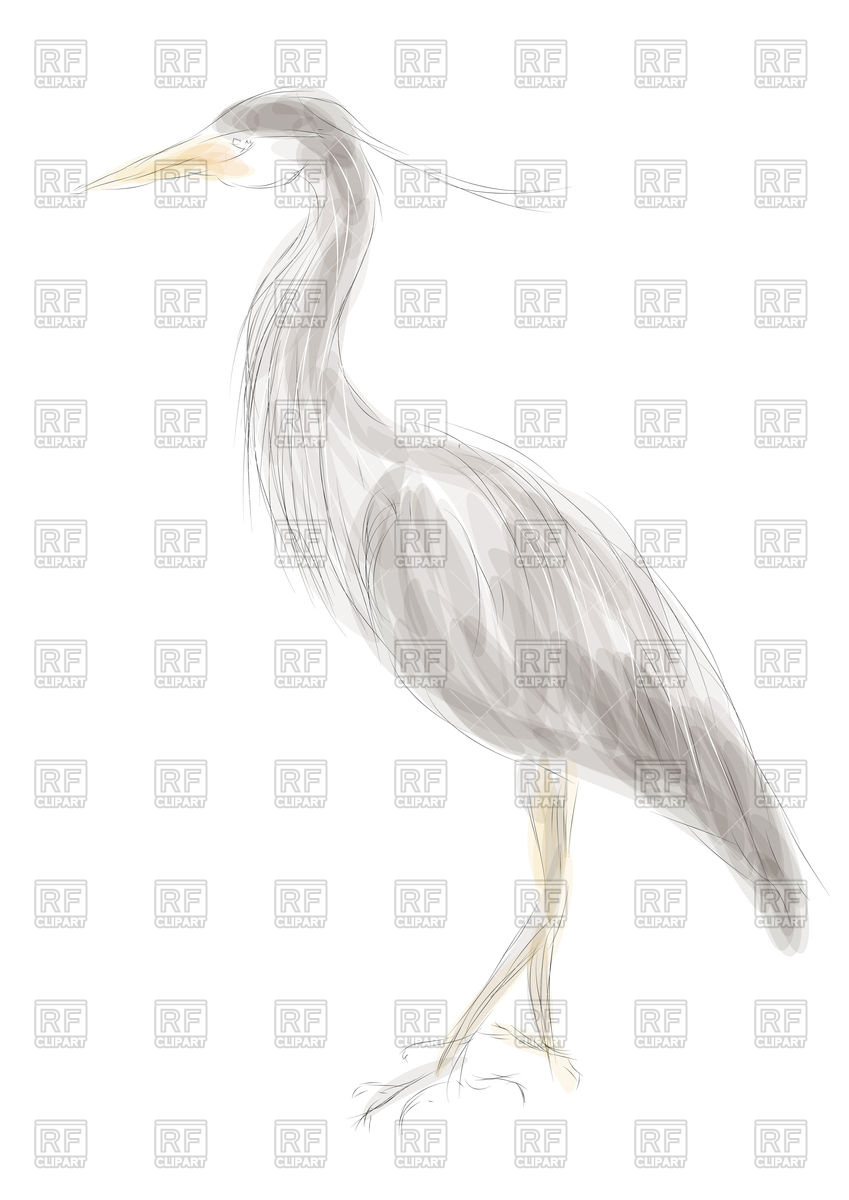 849x1200 Grey Heron Vector Image Vector Artwork Of Plants And Animals