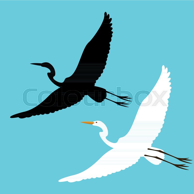 800x800 Heron Vector Illustration Flat Black Silhouette Set Stock Vector