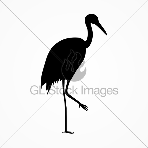 500x500 Heron Gl Stock Images