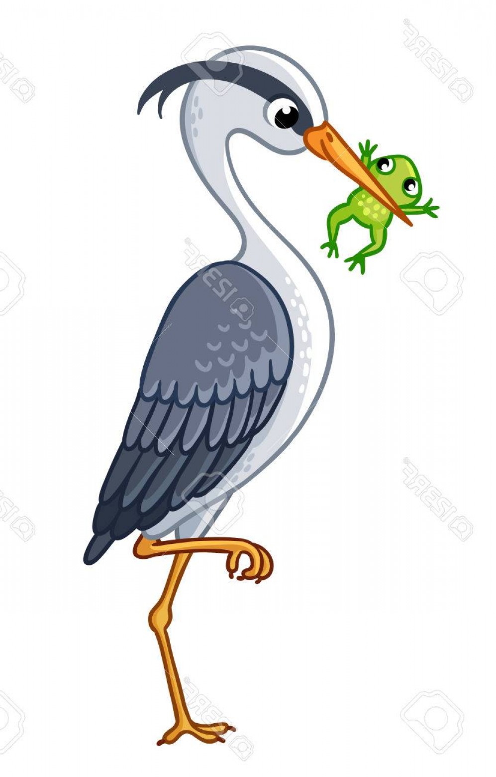 997x1560 White Crane Bird Vector Lazttweet